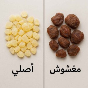 شكل اللبان الذكر الأصلي