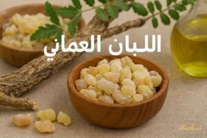 أفضل متجر منتجات اللبان العماني الأصلي